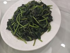 -金华安大酒楼·老牌潮菜·粤式茶点(东方国际店)