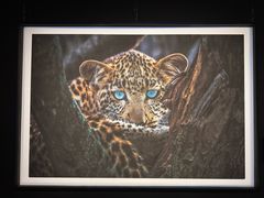 -罗红摄影艺术馆