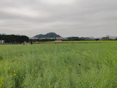 -光明小镇欢乐田园