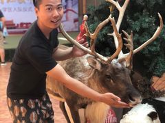 -北京鹿世界主题园