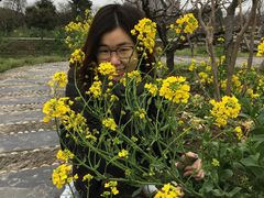 -南汇桃花村