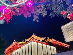 -大唐不夜城