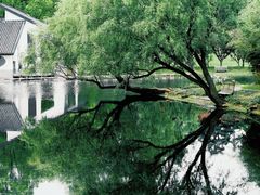 -上海共青森林公园