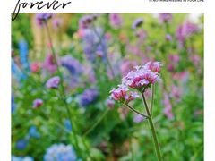 -上海滨江森林公园