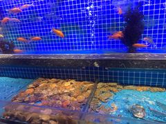 -五月罗马海鲜烤肉自助餐厅(印象城店)