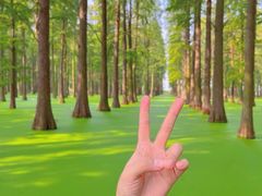 -渌洋湖湿地公园