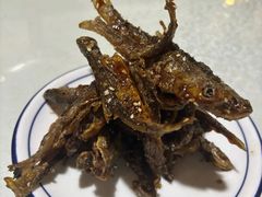 -呼吸森林·生态农庄农家乐私房菜