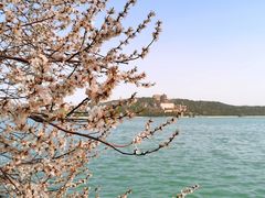 -颐和园