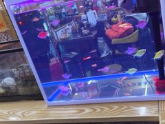 -老姐石板烧烤+铜炭火锅(总店)