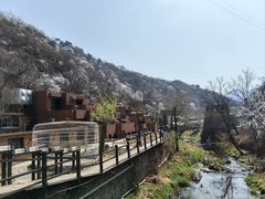 -泰莲庭·溪畔餐厅(雁栖湖店)