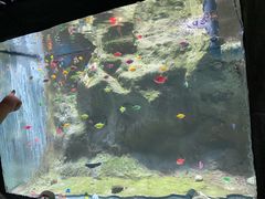 -苏州海洋馆