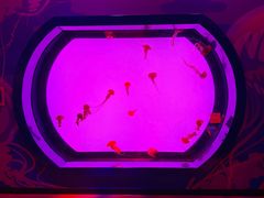 -沈阳海洋探索中心