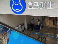 门面-盒马鲜生(双清路店)