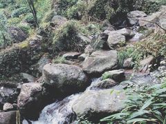 -藏龙百瀑风景区