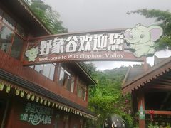 -野象谷景区