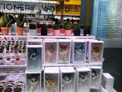 -KKV(深圳宏发大仟里店)