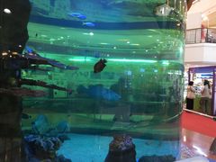 -尚泰清迈机场购物中心