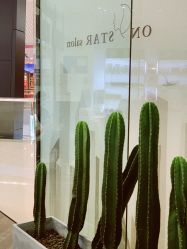 -ON STAR SALON