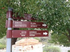 -武汉园博园(武汉自然博物馆)