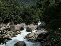 -炎陵县神农谷国家森林公园