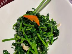 清炒豆苗-梧桐北京烤鸭·铜锅涮肉(海岸城店)