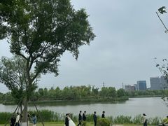 -九科绿洲
