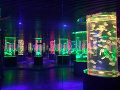 -南昌海洋公园
