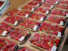-果蔬好生活超市(东湖店)