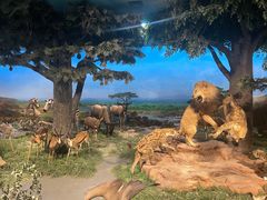 -国家自然博物馆