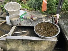 -途中饭店(开化店)