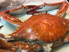 -浩运·海鲜青岛菜·海胆水饺(石老人店)
