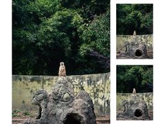 -宁波野生动物园