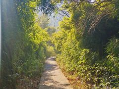 -大罗山风景区