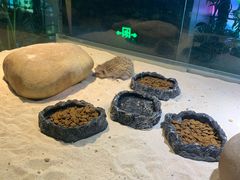 -顺德南宏海立方海洋公园