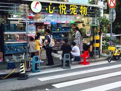 -溪岸路花鸟市场