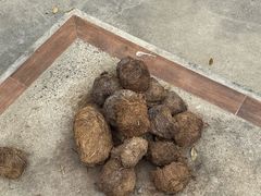 -大象粑粑造纸公园