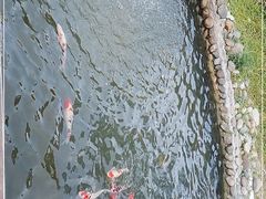 -重庆神龙峡漂流