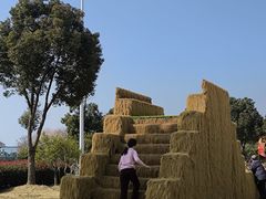 -嬉乐湾休闲旅游区
