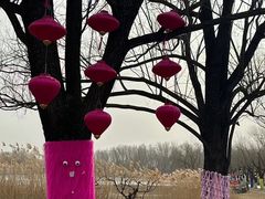 -朝阳公园游乐园