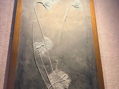-中华赏石园