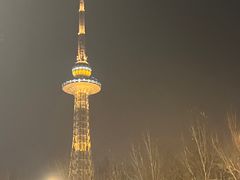 -龙塔
