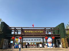 -杭州湾海上花田景区