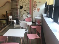大堂-喵匠猫主题咖啡(凯德和平广场店)