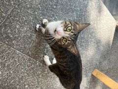 -山水肠粉(盐田店)