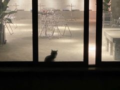 -浣熊柯尔鸭土拨鼠·电玩咖