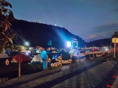 -武陵山森林公园