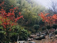 -仙霞关景区
