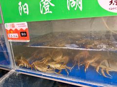 -阳澄湖大闸蟹·琼灵阁牌品牌连锁(吴中总店)