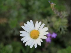 -白塘生态植物园