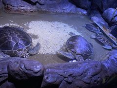 -大连老虎滩海洋公园